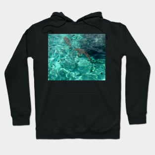 Swimming away Hoodie